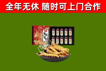 下城烟酒回收冬虫夏草礼盒.jpg