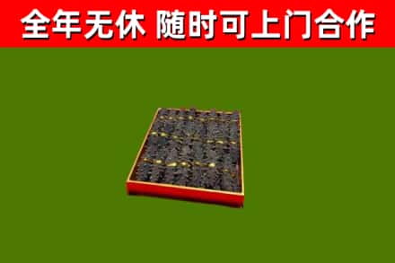 下城回收海参